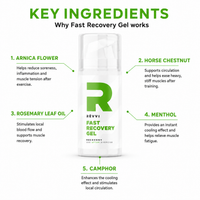 Infographic van RÉVVI Fast Recovery Gel met de belangrijkste ingrediënten. In het midden staat de productverpakking, omringd door vijf ingrediënten: Arnica Flower, Horse Chestnut, Rosemary Leaf Oil, Menthol en Camphor, met korte uitleg over hun rol bij verkoeling, doorbloeding en spierherstel.
